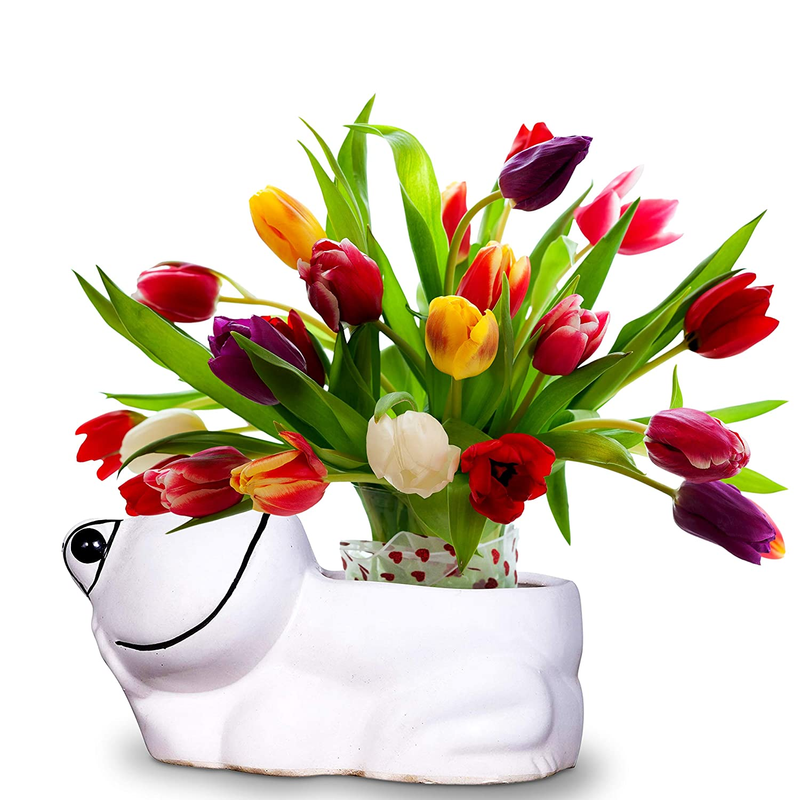 81ofmpzckgl-sl1500_95c09df9-0801-4a35-83c2-5be3f616afb5-4x