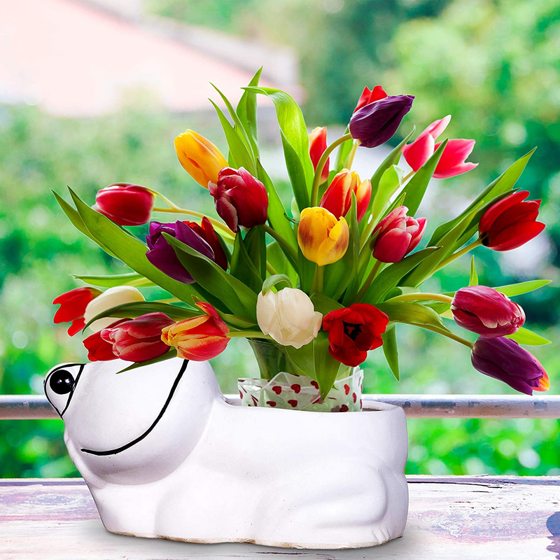 RAJ ROYAL Handcrafted Ceramic Frog Shape Flower Vase for Living Room Handmade Decorative Vases Pot Planter for Garden for Home Office Decoration Pots for Office Home Makeover - 1 Piece